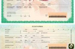 村委会新生儿上户证明怎么开