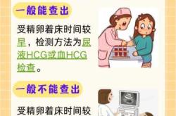 备孕同房一次多久合适