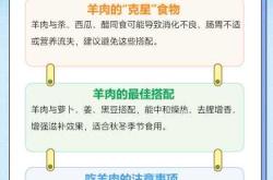 备孕男人能不能吃羊肉串