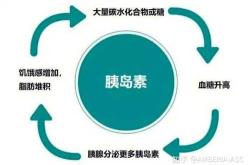 男子血糖高如何备孕