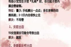 化验血能查出怀孕吗