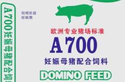 母猪产后高烧喘大气怎么办