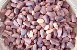 月子里可以吃松子吗