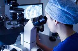 做试管婴儿贵吗