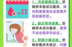 备孕未成功月经还不来咋回事