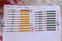 囊胚移植42天孕反啥情况