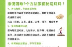 孕反吃舒伯特益生菌有用吗