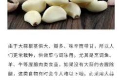 孕反吃大蒜真的有效吗