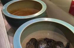 坐月子能吃甲鱼吗