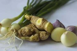 坐月子能不能吃大葱