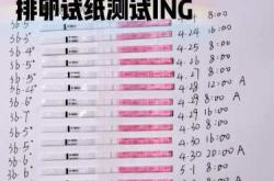 宫外孕出血后多久可备孕