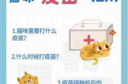 猫产后需要打疫苗吗