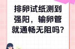 金蒡膏对备孕有何作用功效