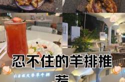 产后吃羊排有益吗