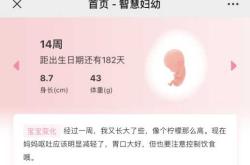 孕早期不孕孕中期孕反咋回事