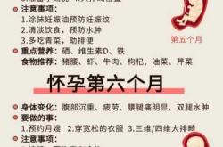 怀孕初期嗜睡正常吗