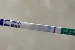 备孕排卵第六天白板正常吗