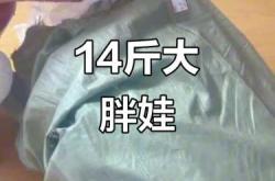 14斤的婴儿正常吗