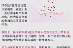 孕反是爱的另一种表达吗