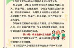 孕晚期能听胎教歌单吗