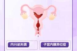 为什么流产后半月又来月经