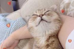 新生儿会吃醋是真的吗