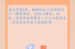 我要备孕第四胎了要注意啥