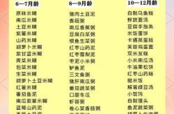 6个月宝宝辅食食谱有哪些