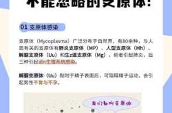 备孕验支原体需空腹吗