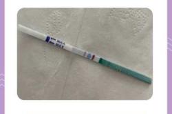 同房后7天试纸能测孕吗