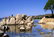 备孕时口水淡是何原因