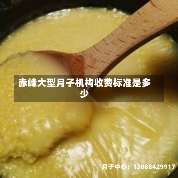 赤峰大型月子机构收费标准是多少