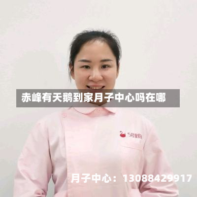 赤峰有天鹅到家月子中心吗在哪