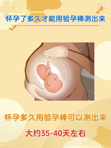 怀孕两个月能测出来吗-第1张图片