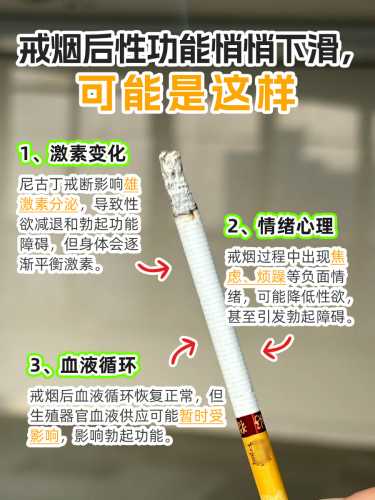 男士备孕戒烟最佳时间表何时-第1张图片