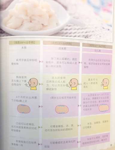 婴儿辅食书籍哪本好-第1张图片