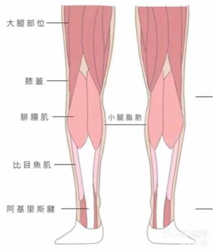 产后如何增高-第1张图片