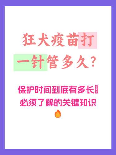 备孕男性可以打狂犬疫苗吗-第1张图片