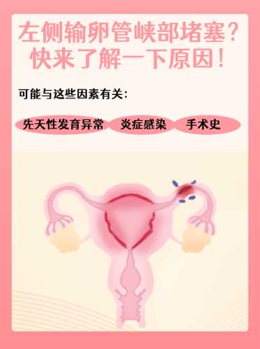 输卵管一侧堵塞还能怀孕吗-第1张图片