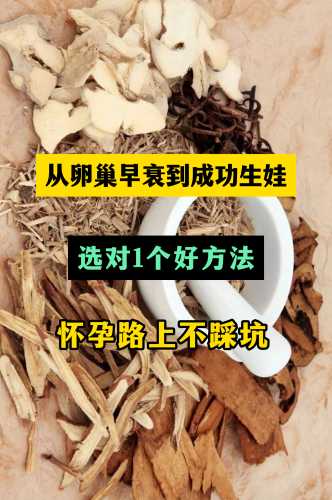 备孕吃什么补卵巢最好-第1张图片