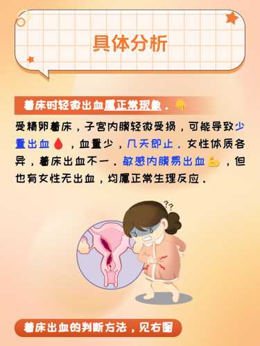 子宫内膜对备孕有何影响-第1张图片