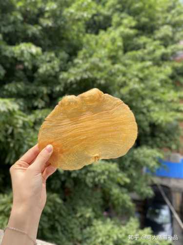 备孕可以吃老虎豆吗-第1张图片