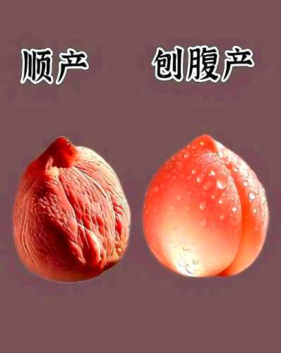 顺产后下面的肉球啥样图-第1张图片