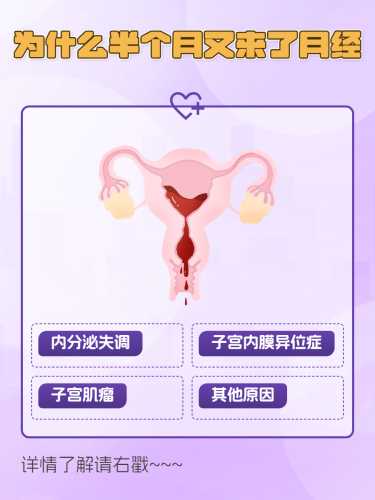 为什么流产后半月又来月经-第1张图片