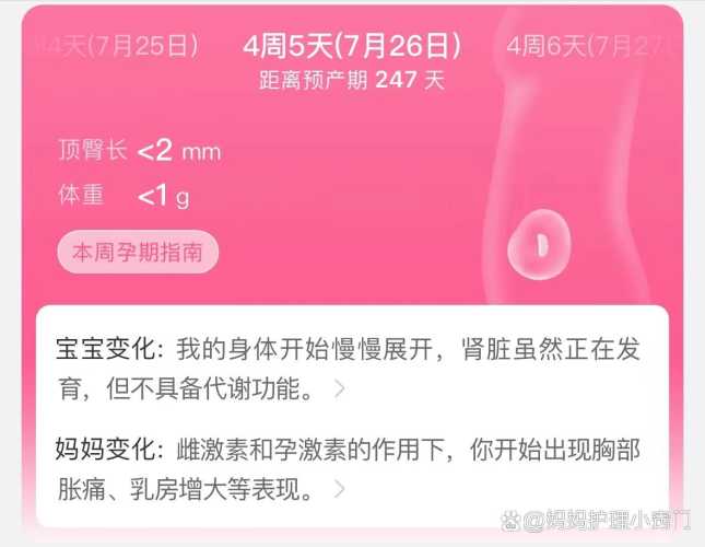为什么孕反会反复-第1张图片