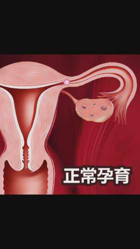 34岁备孕二胎成功了吗-第1张图片