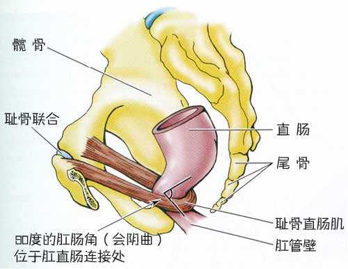 产后多久可下蹲如厕合适-第1张图片