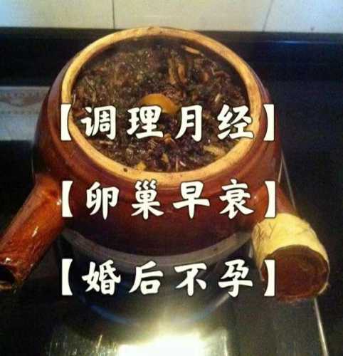 女性喝备孕中药会胖吗-第1张图片
