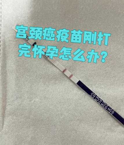 备孕女性可申请不打疫苗吗-第1张图片