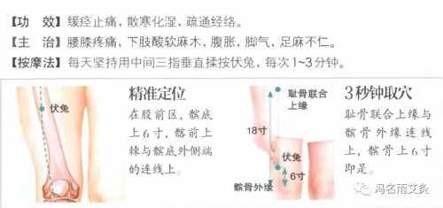 哪些穴位能抑制孕反-第1张图片